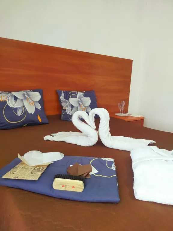 Дикая Гавань