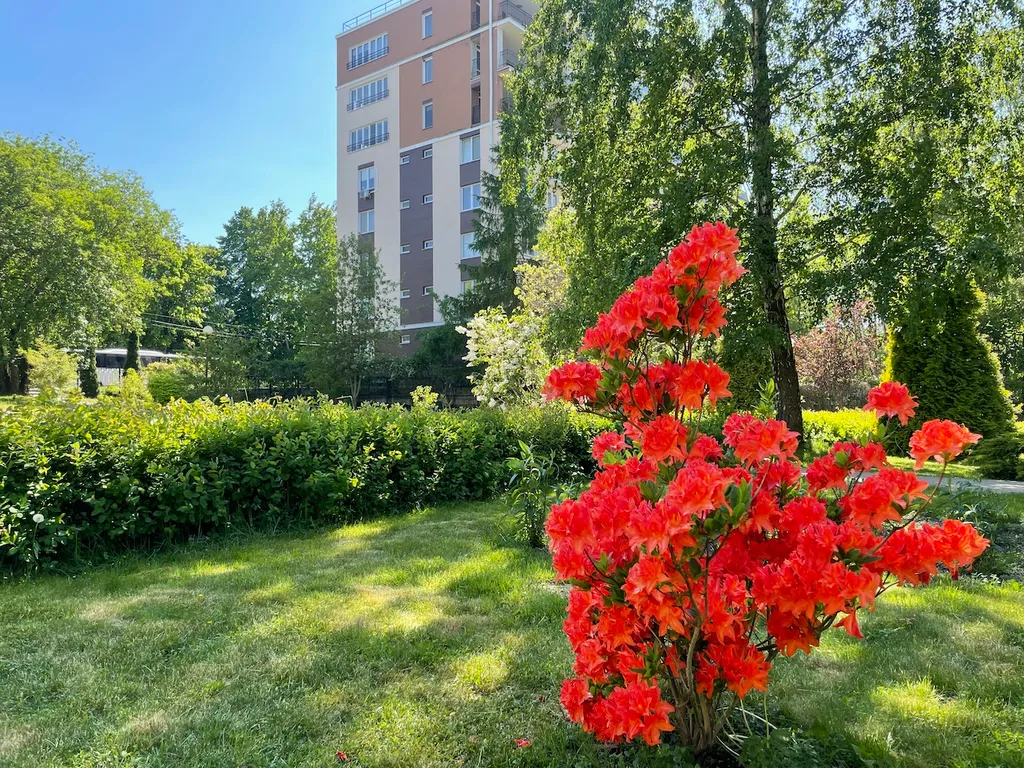 Квартира Квартира Sea&Sun Comfort + — Светлогорск