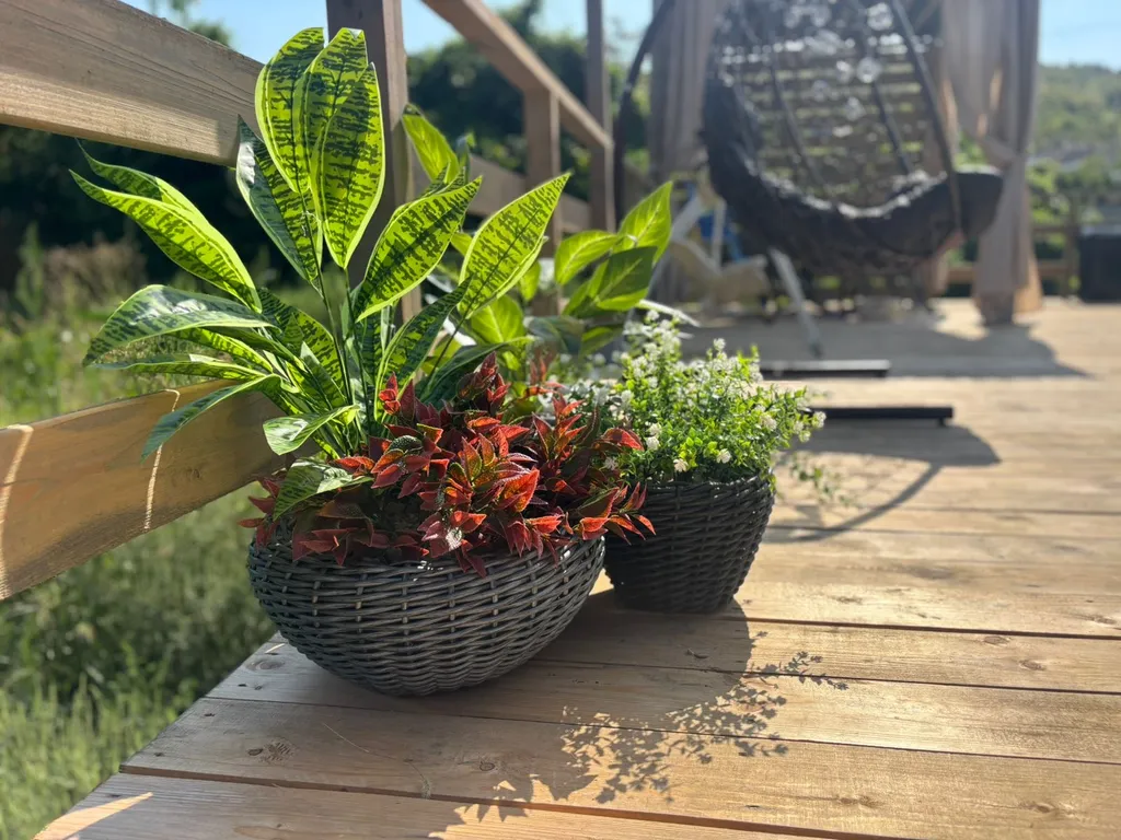 Уютная сфера на побережье