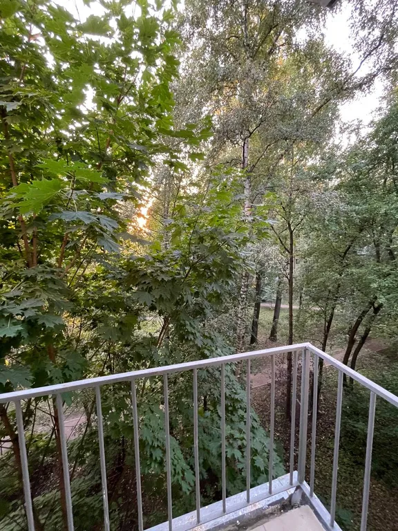 Квартира Уятная квартира рядом с Московской площадью и метро — Санкт-Петербург