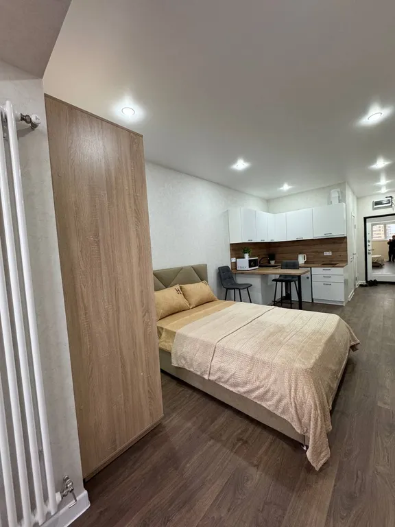 Уютная студия в центре города