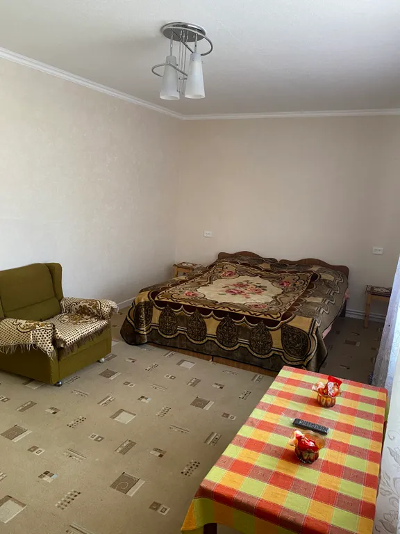 У подножья горы Ирикчат и реки светлая, уютная, просторная квартира