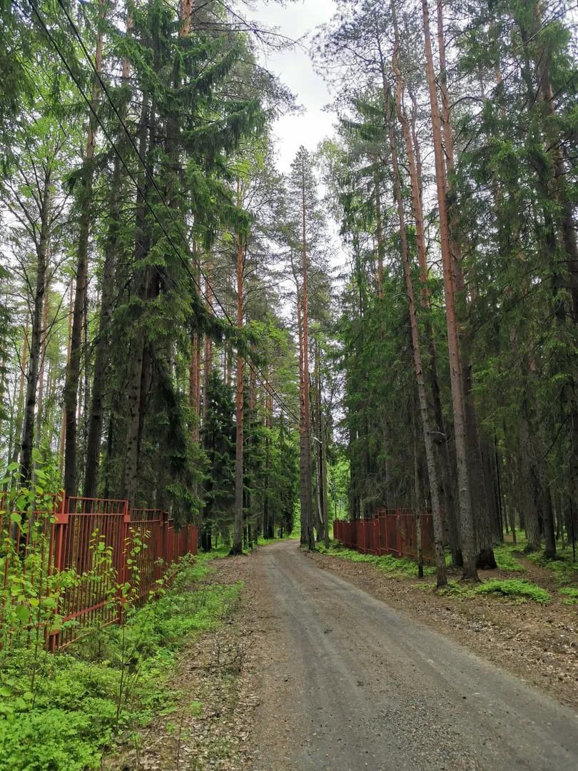 Дорога к пляжу.