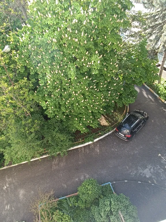 Апартамент в центре