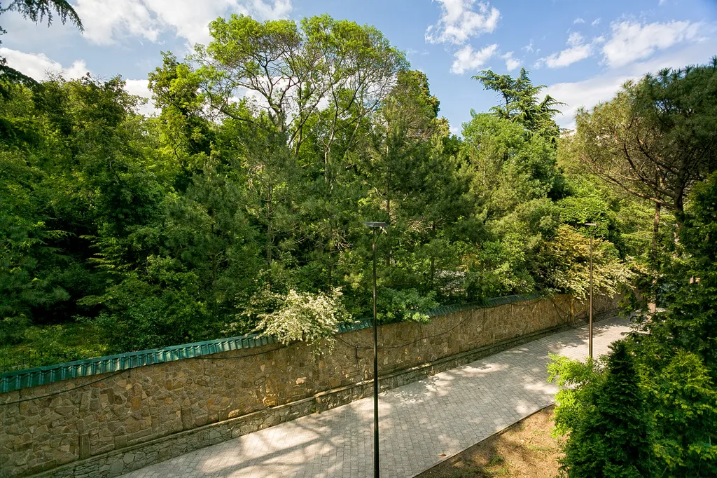 Гранатовый. На большую семью, вид на лес