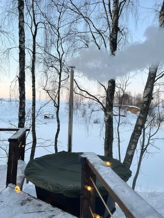 Дом-Сфера на озере