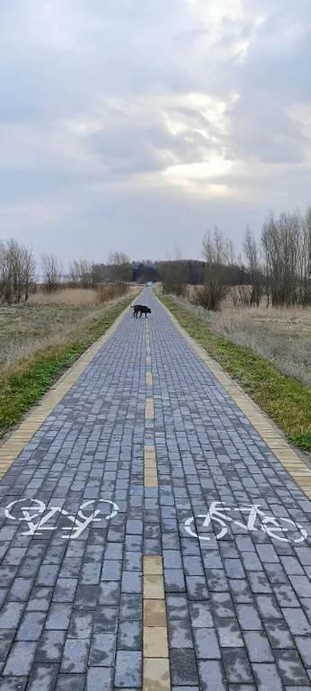 Морской домик на Балтийском побережье
