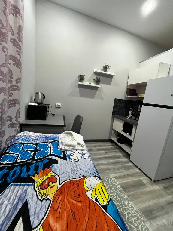 Одноместный апартамент