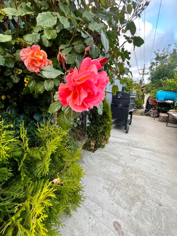 Коттедж Коттедж вилла роза — Южная Озереевка