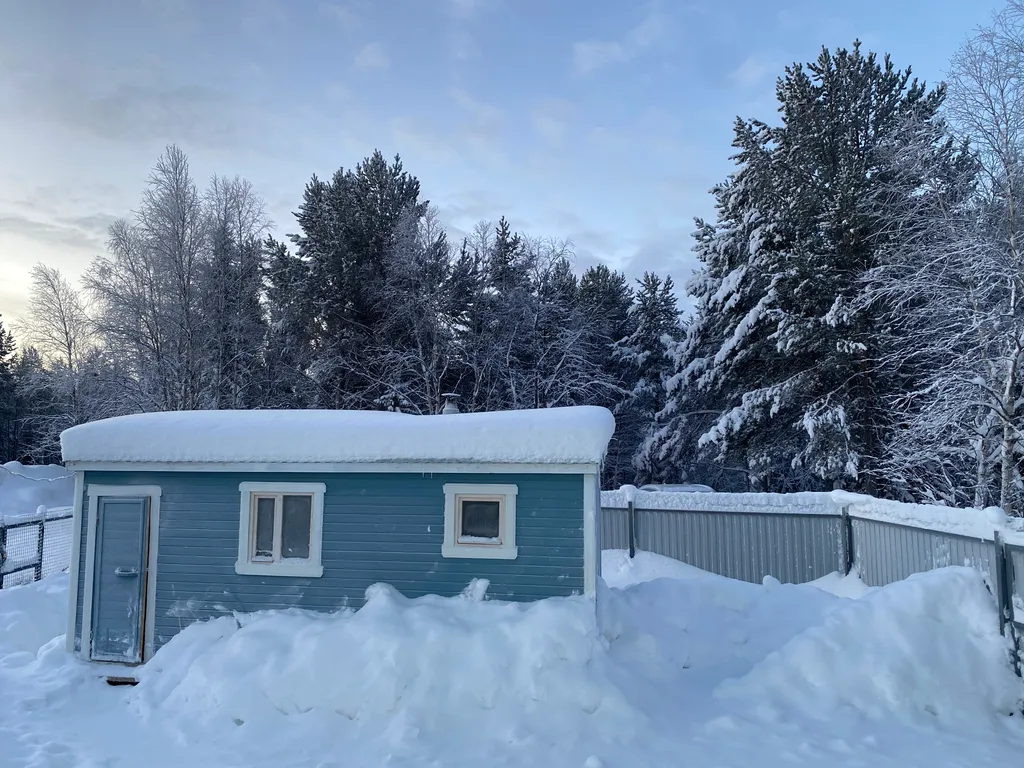 Уютный дом у леса и озера