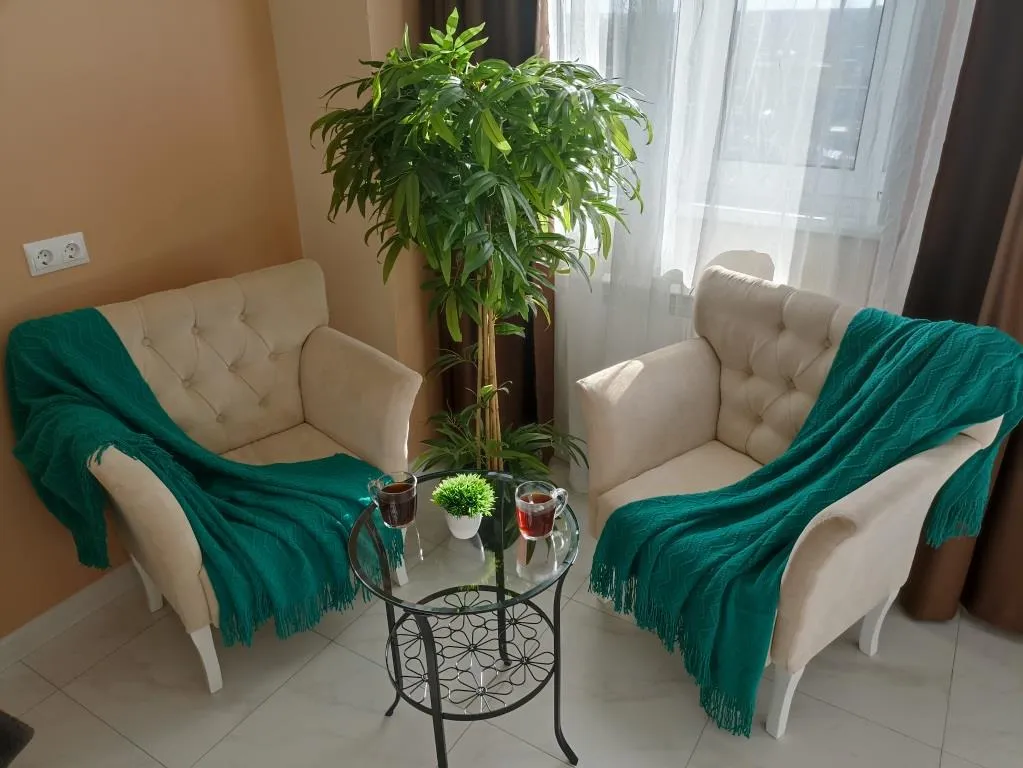 Видовая студия в центре города сети Все в гости