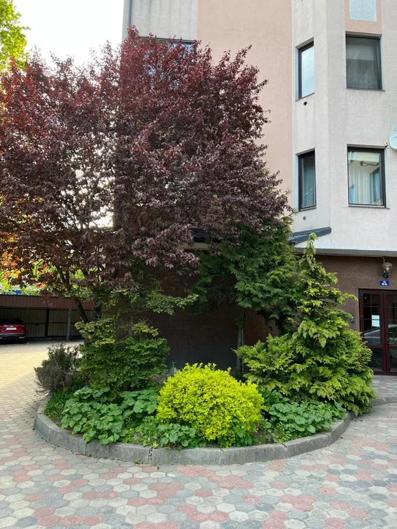 Квартира Апартаменты-Центр — Калининград