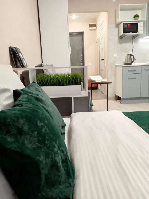 Уютная студия в ЖК Ёлки