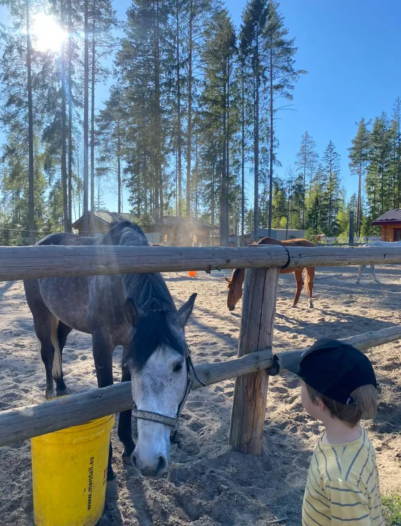 Семейный дом Берёзы ждёт вас в гости