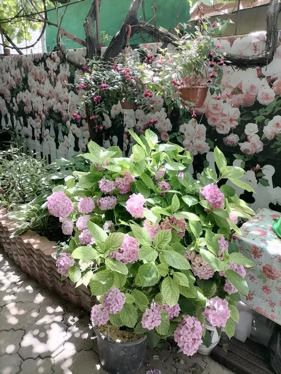 Квартира Комната — Анапа