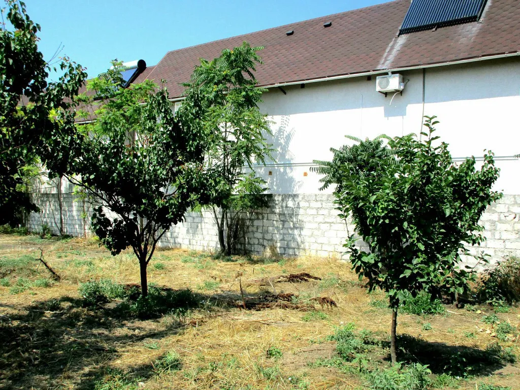 Эконом на двоих