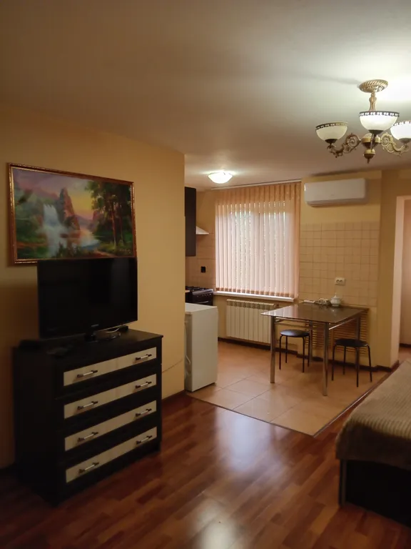 Уютная и ухоженная квартира -студия в центре