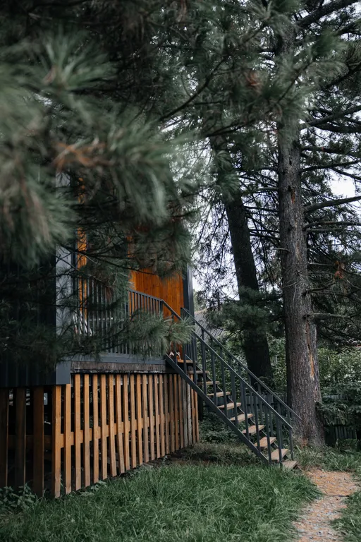 Уютный домик в кедровом лесу