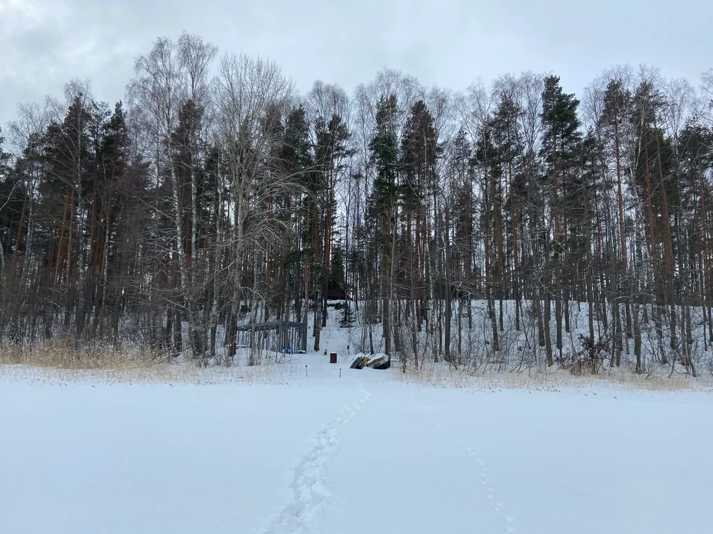 Хижина в лесу на берегу озера без соседей