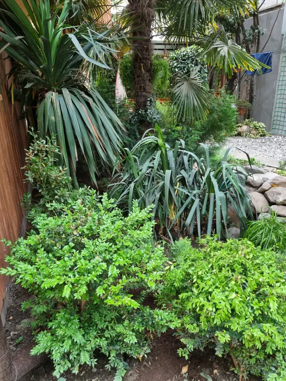 Рядом с морем для тебя,центральная набережная