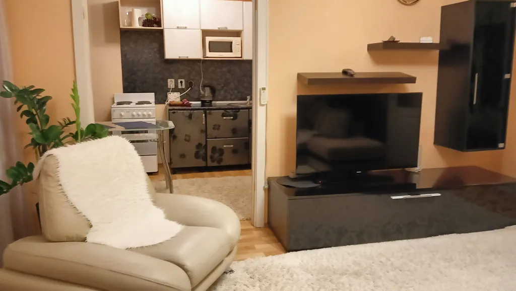 Квартира в центре с шикарным видом