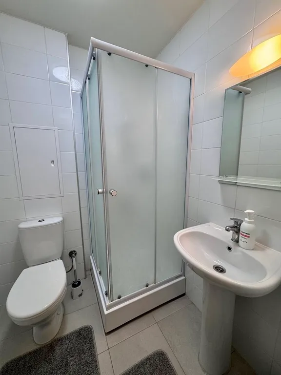 Биг-студия с диванчиком и кроватью Митино