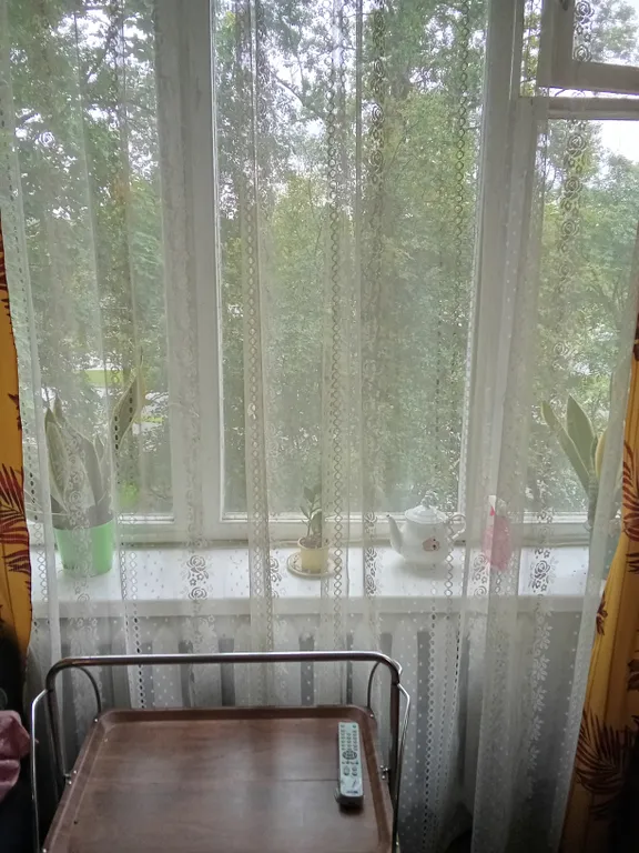 Квартира Уютная квартира с видом на Муринский парк — Санкт-Петербург