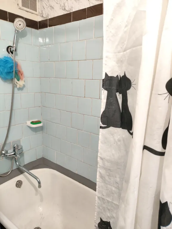 2-комнатная квартира в Зелёной Роще