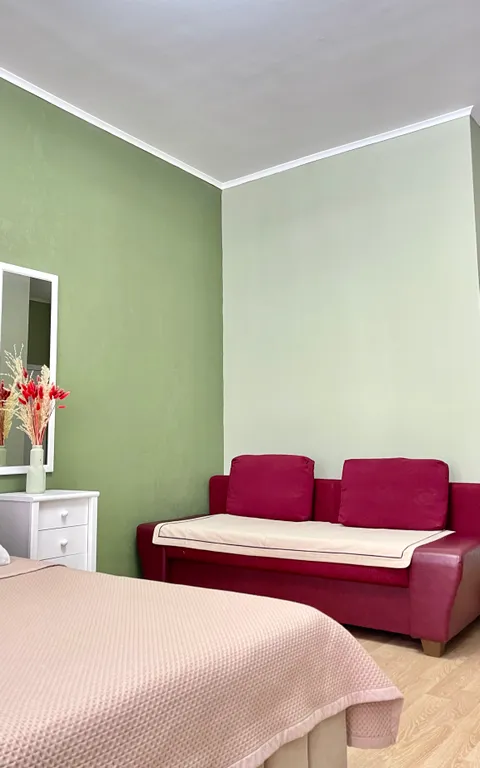 Уютная квартира в центре столицы