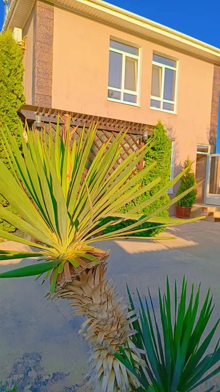 2-комнатная Квартира — аренда посуточно в Николаевка