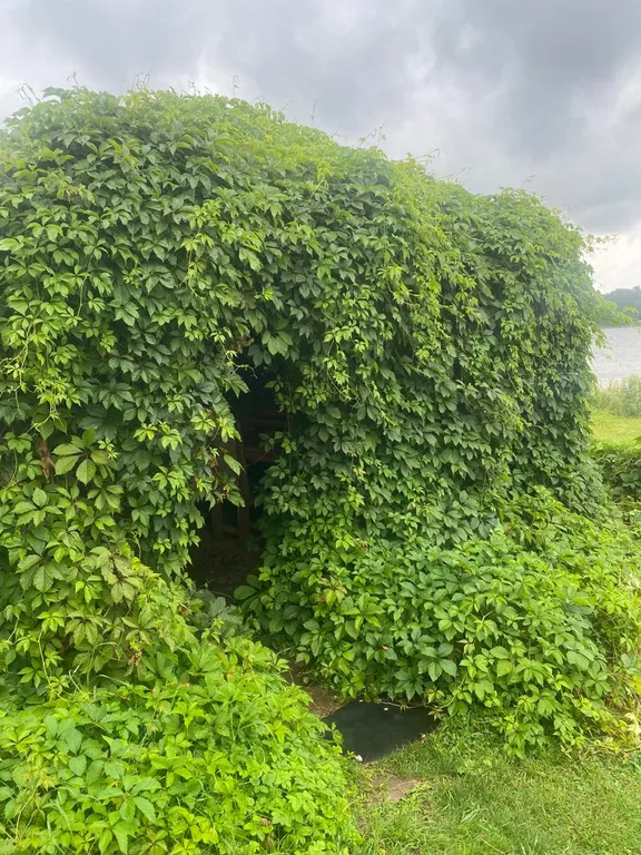 Дом на Волге