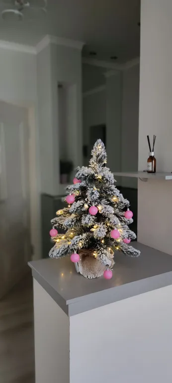 Уютные просторные апартаменты в центре города