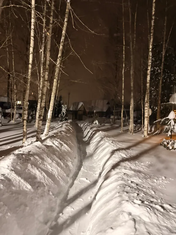 Домик в лесу с баней