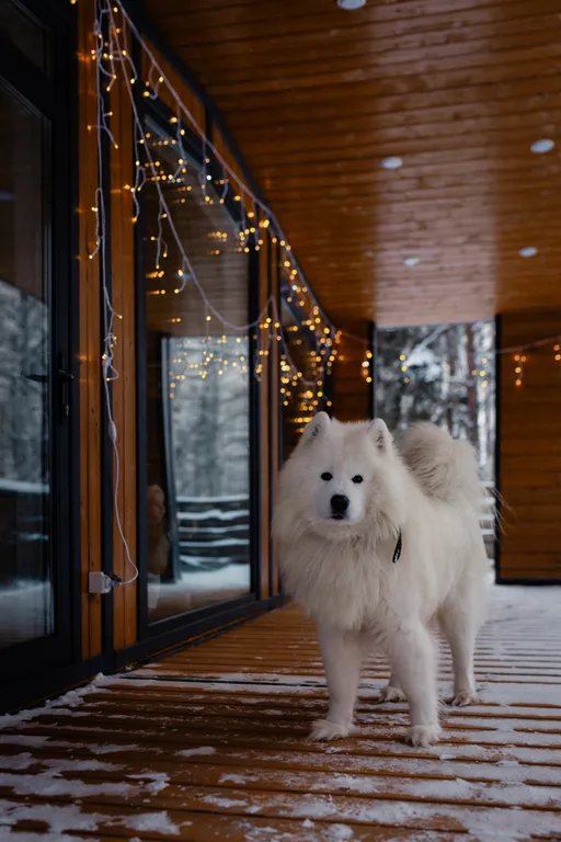Уютный дом в лесу с панорамой и СПА комплексом