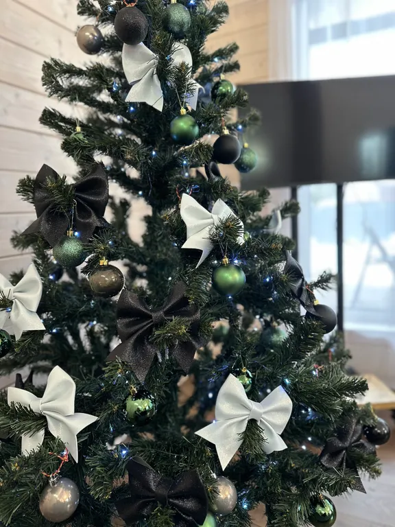 Коттедж Дом в одном из самых красивых мест для семейного отдыха — Сиверский