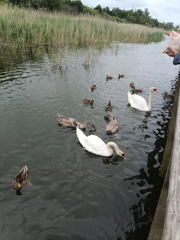 Гостевой домик с видом на море