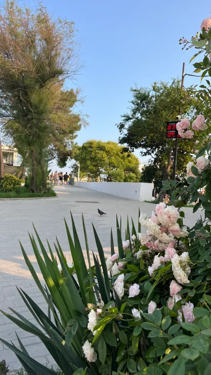 Уютная квартира в центре Хосты, 10 мин до пляжа неспешным шагом