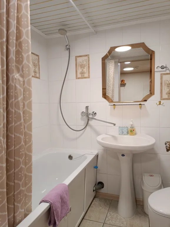 Дом у парка Берендеевка