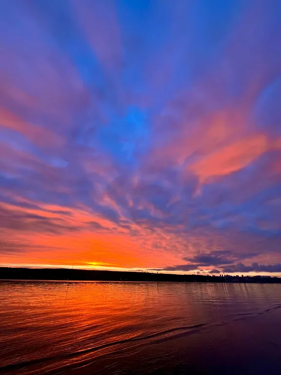 Коттеджи на берегу Волги в сосновом лесу. База отдыха " Хвоя Эко"