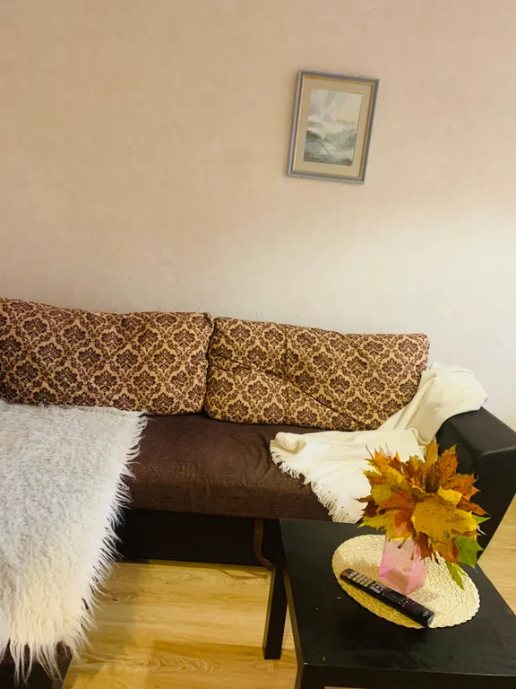 Небольшая уютная квартира