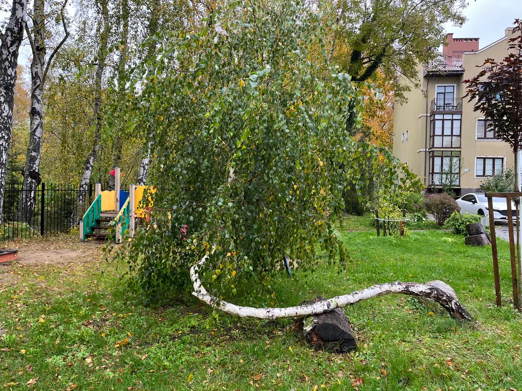 Квартира Квартира Янтарная долина — Светлогорск