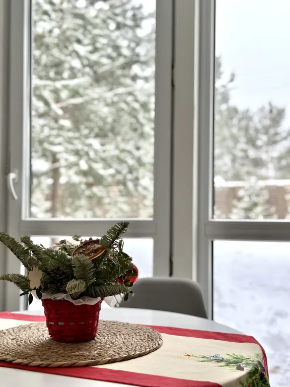 Домик в сосновом лесу