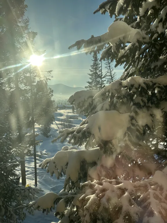 Уютный дом с красивым видом на зелёную гору