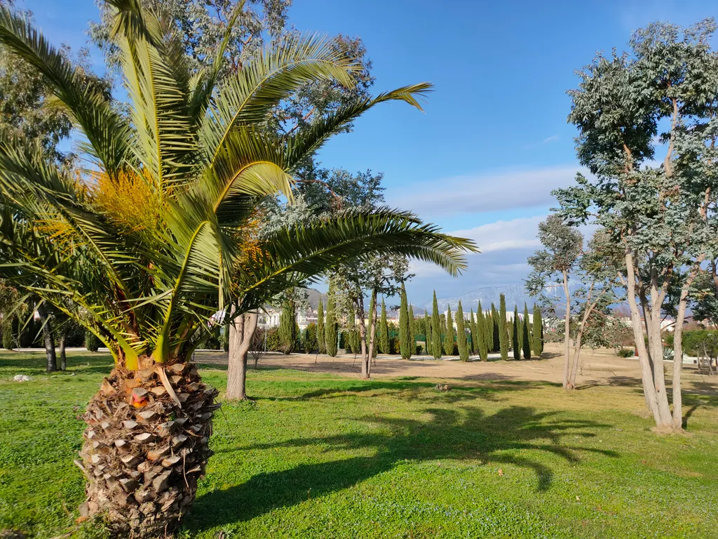 Апартаменты Магнолия