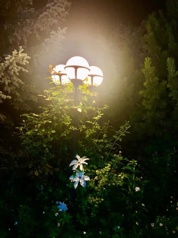 Дом с бассейном и сауной в 5 минутах на автомобиле до Коломенского Кремля