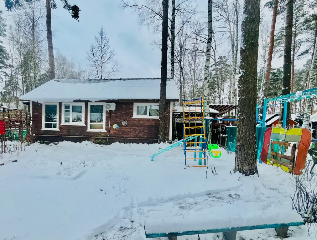 Уютный дом с гусями