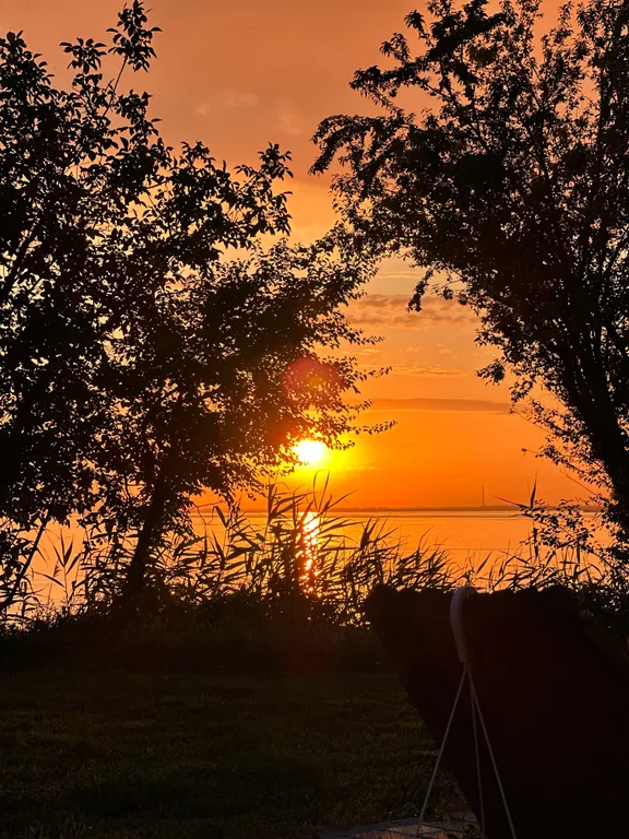 Загородный дом