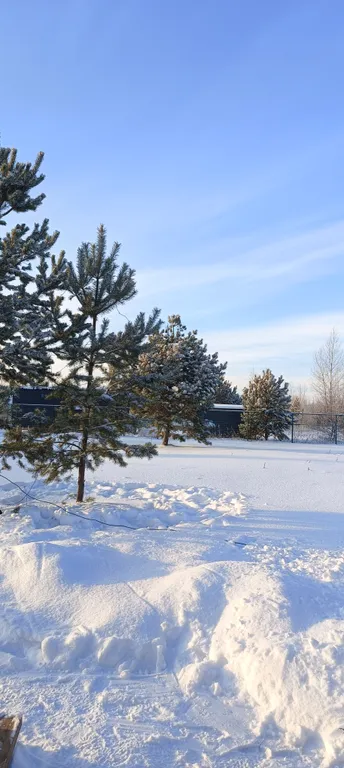 БарнОтдых с купелью, рядом лес и река