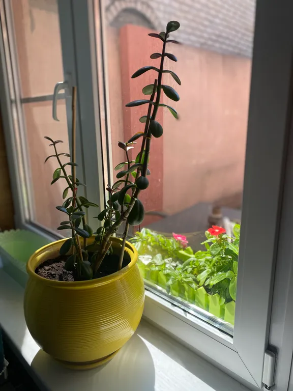 Коттедж Очаровательный дом на Водах — Кисловодск