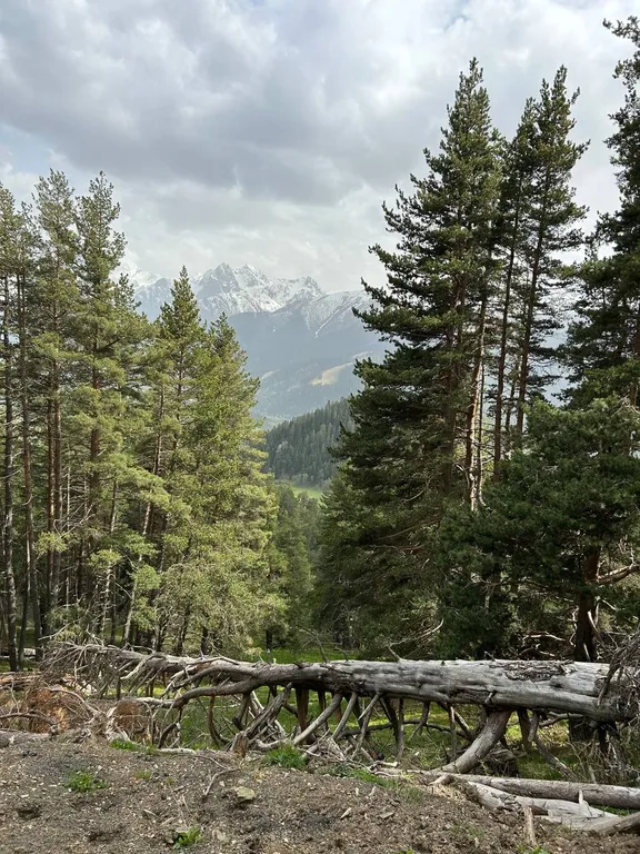 Коттедж Коттедж Шале Viking Аrkhyz — Архыз